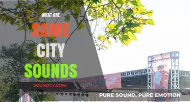Urban Symphony: Exploring the Diverse Sounds of City Life