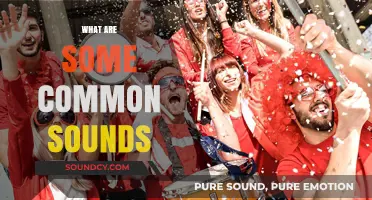 Exploring Everyday Life: Common Sounds We Often Hear and Recognize