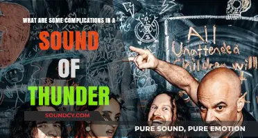 Echoes of Complexity: Unraveling the Complications in 'A Sound of Thunder