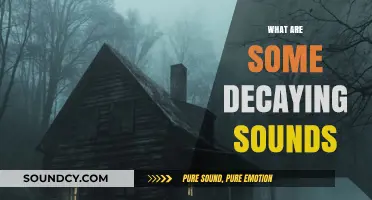 Exploring the Eerie World of Decaying Sounds: A Sonic Journey