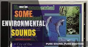 Exploring Nature's Symphony: Unveiling the World of Environmental Sounds
