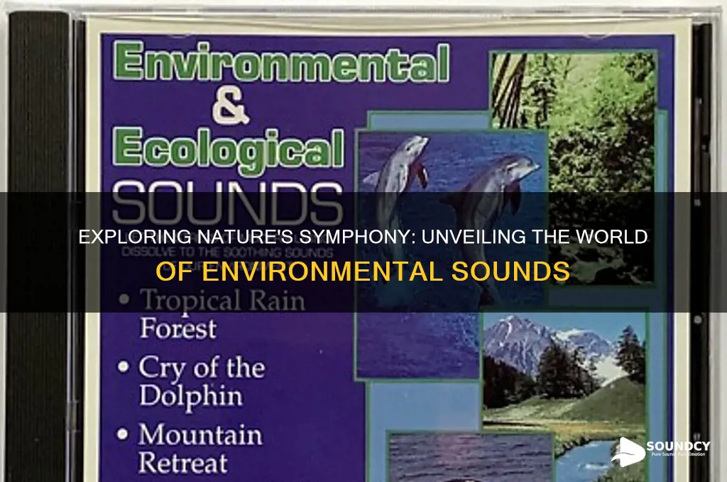 what are some environmental sounds