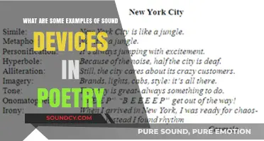 Echoes in Verse: Exploring Sound Devices in Poetry