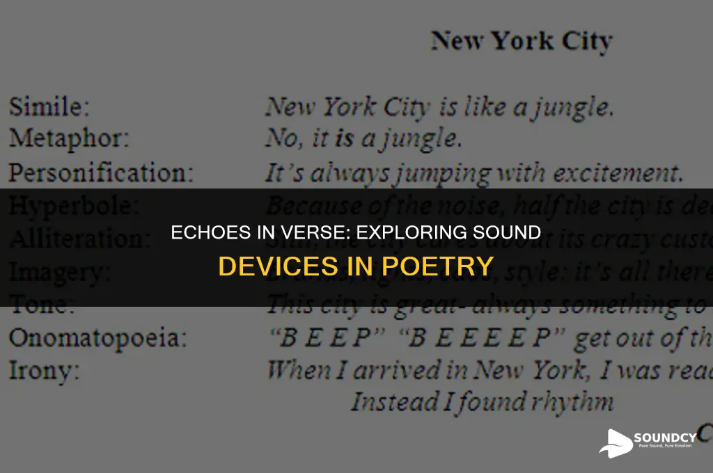 what are some examples of sound devices in poetry