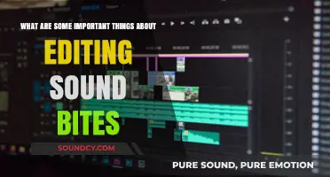 Crafting the Perfect Sound Bite: Essential Tips for Editors