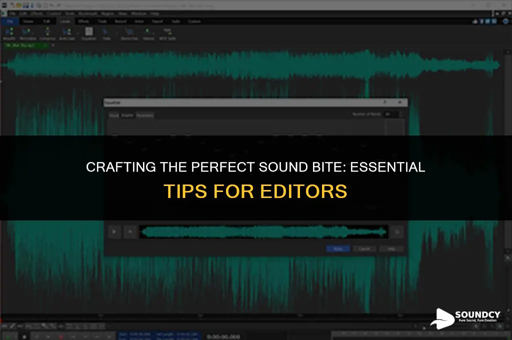 what are some important things about editing sound bites
