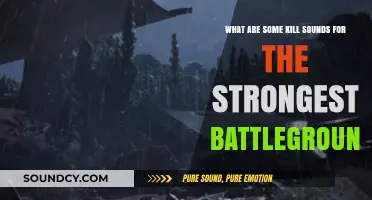 Echoes of Victory: Battlegrounds' Most Intimidating Kill Sounds