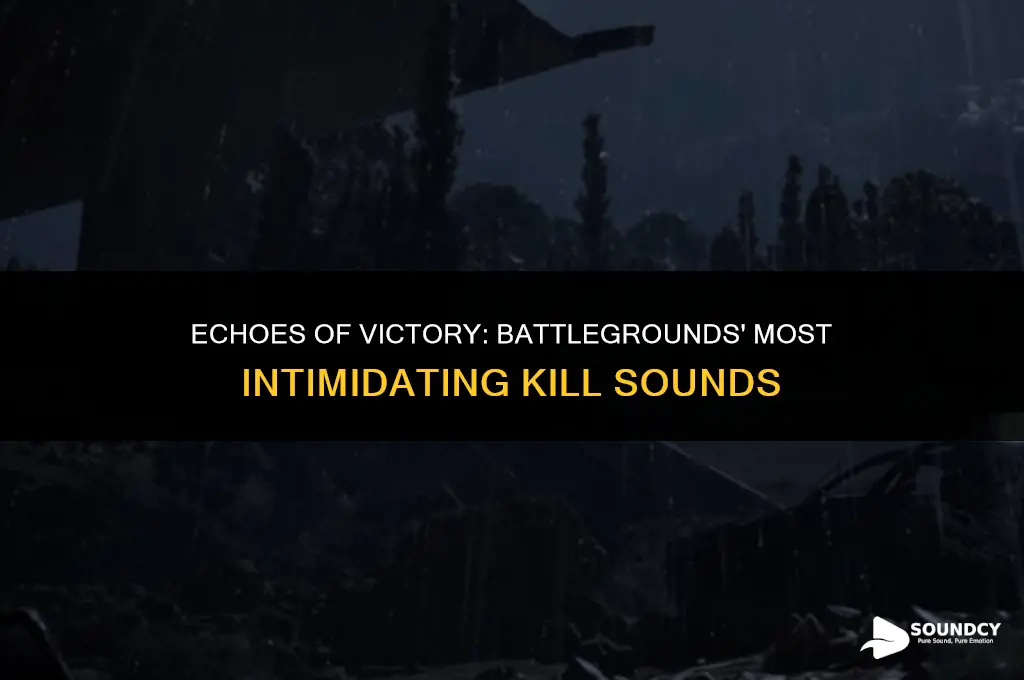 what are some kill sounds for the strongest battlegrounds