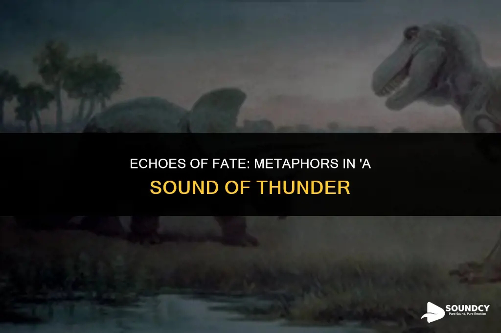 what are some metaphors in a sound of thunder