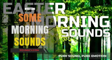Awakening to the World: Exploring the Sounds of Morning