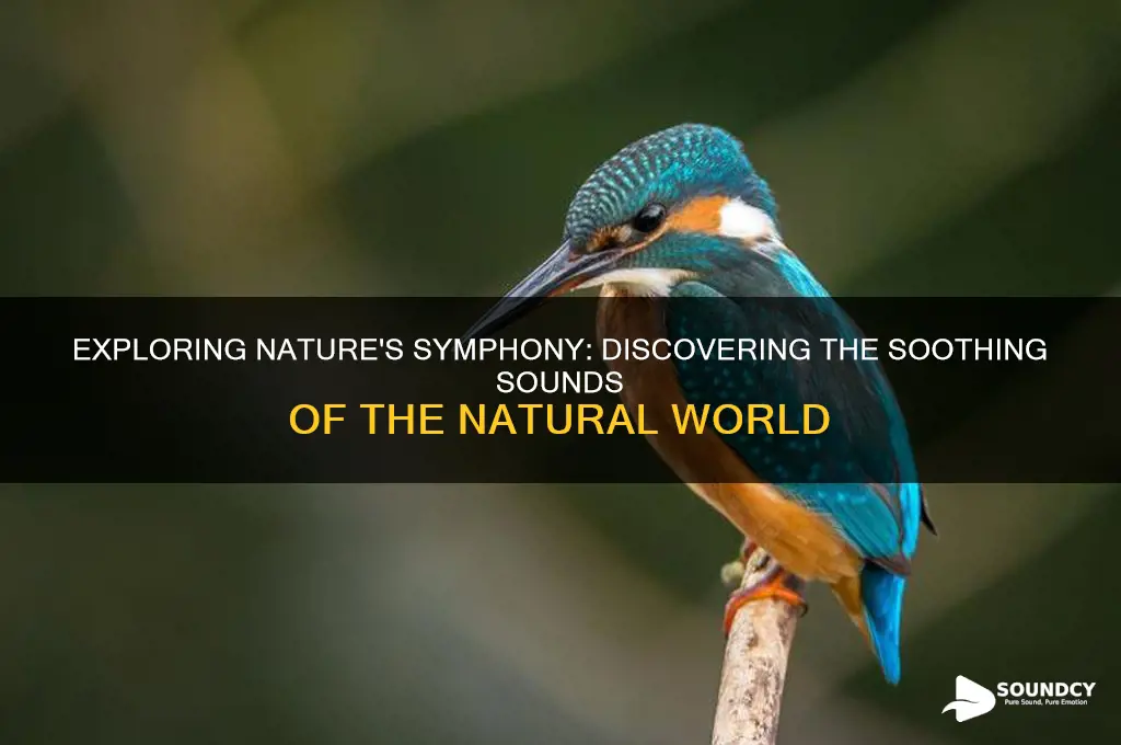 what are some natural sounds