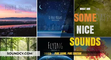 Exploring the Soothing and Uplifting Sounds That Bring Joy to Life