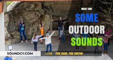 Exploring Nature's Symphony: Identifying Common Outdoor Sounds Around Us