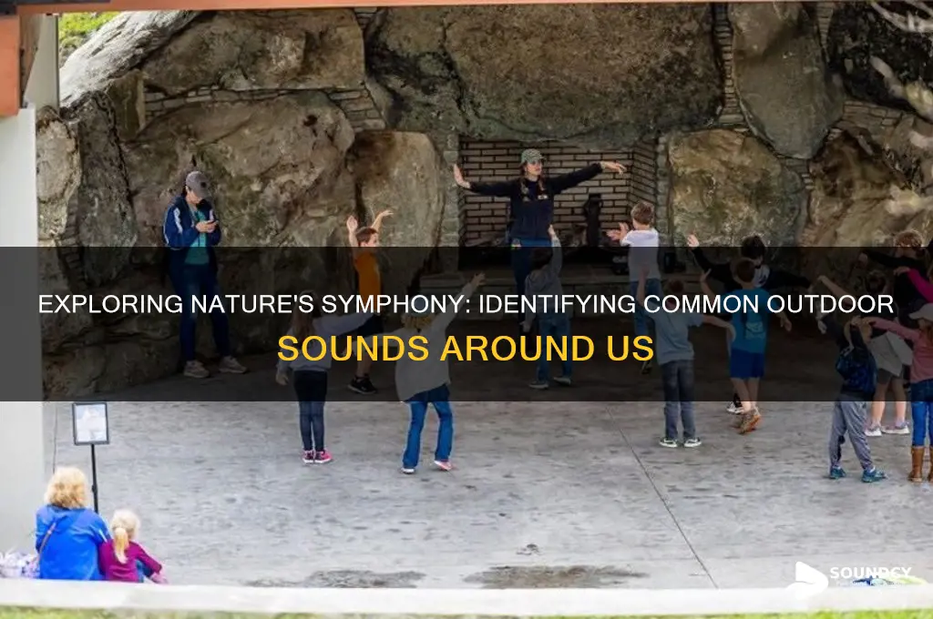 what are some outdoor sounds