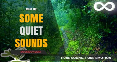 Exploring the Gentle Whispers: Uncovering the World of Quiet Sounds