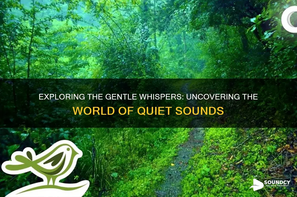 what are some quiet sounds