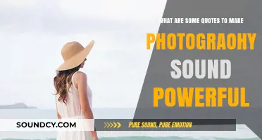 Capturing Moments: Powerful Quotes to Elevate Your Photography