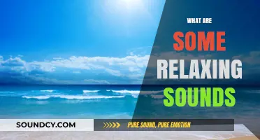 Unwind and Relax: Discover the Most Soothing Sounds for Peace