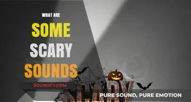 Eerie Echoes: Uncovering the Most Terrifying Sounds Known to Humanity