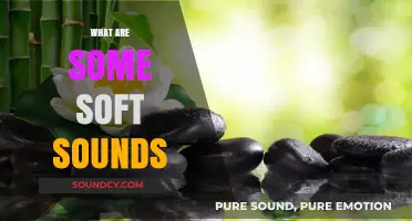 Exploring Gentle Whispers: A Guide to Soft, Soothing Sounds