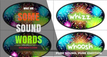 Exploring Onomatopoeia: The Fascinating World of Sound-Mimicking Words