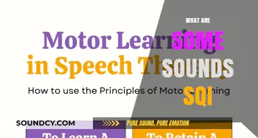Unraveling the Mystery: What Are Some Sounds SQI Represents?