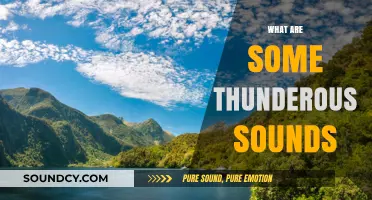 Exploring Nature's Thunderous Sounds: From Storms to Explosions and Beyond