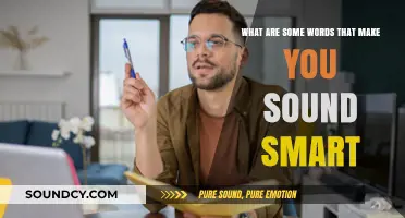 Elevate Your Vocabulary: Words That Instantly Boost Your Intellect