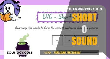 Exploring Phonics: Words with the Short 'O' Sound