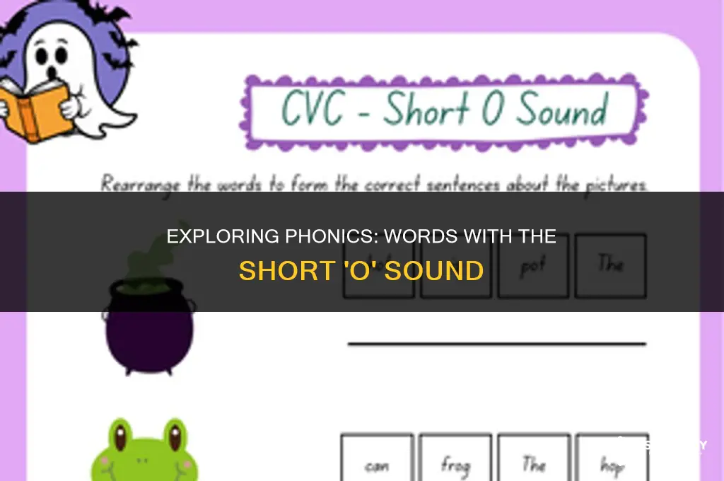 what are some words with the short o sound