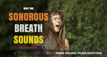 Understanding Sonorous Breath Sounds: Causes, Characteristics, and Clinical Significance