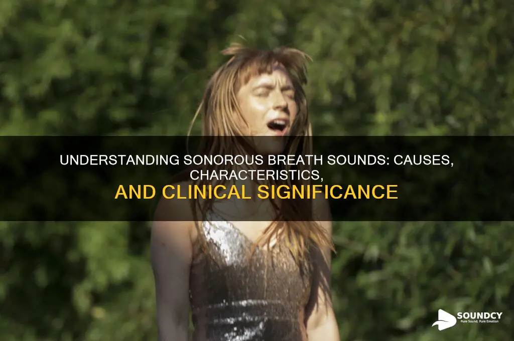 what are sonorous breath sounds