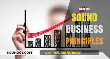 Essential Sound Business Principles for Sustainable Growth and Success