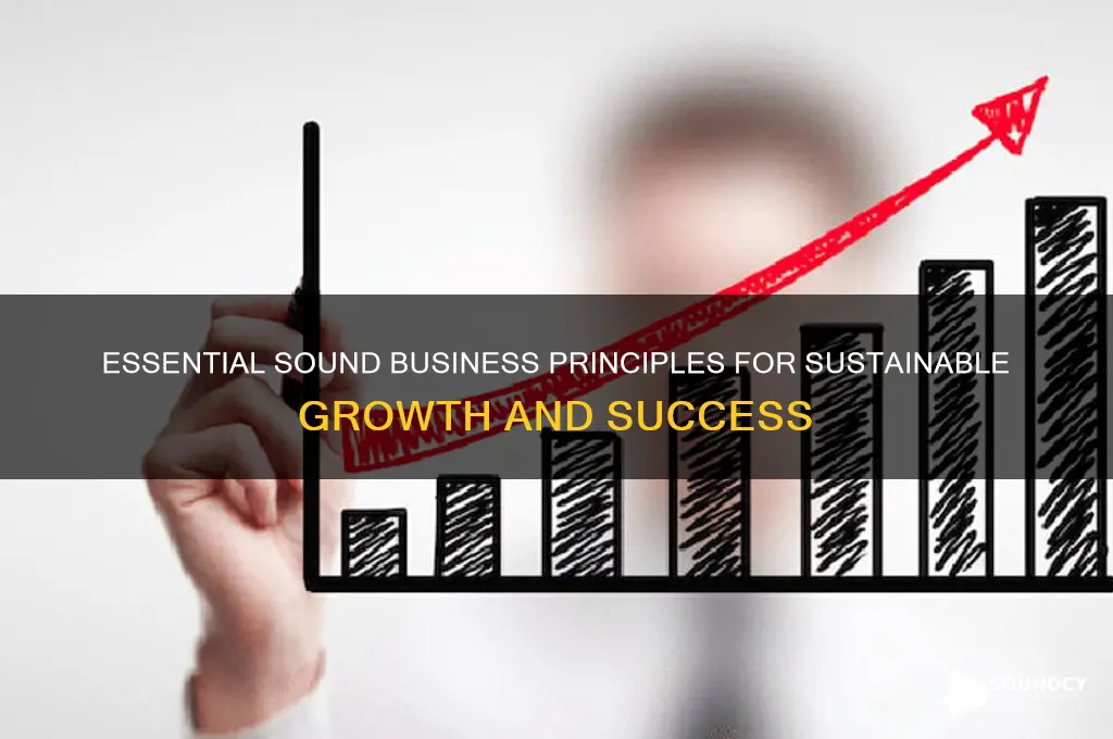 what are sound business principles
