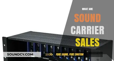 Understanding Sound Carrier Sales: A Comprehensive Guide for Beginners