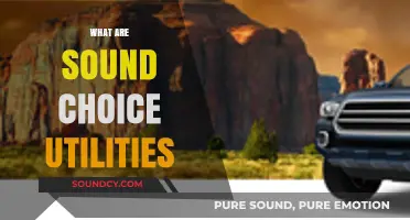 Understanding Sound Choice Utilities: Benefits, Applications, and Smart Usage Tips