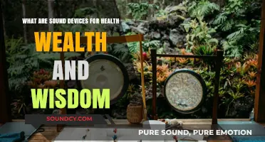 Harmonious Health: Sound Devices for Wealth and Wisdom
