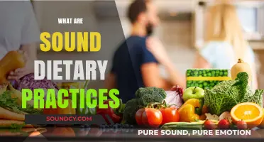 Mastering Healthy Eating: Essential Sound Dietary Practices for Optimal Wellness