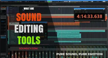 Mastering Audio: Essential Sound Editing Tools for Professionals and Beginners