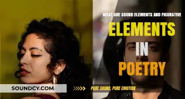 Exploring Poetry's Depths: Sound and Figurative Elements Unveiled