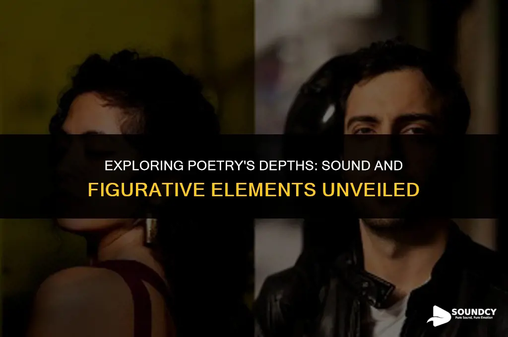 what are sound elements and figurative elements in poetry