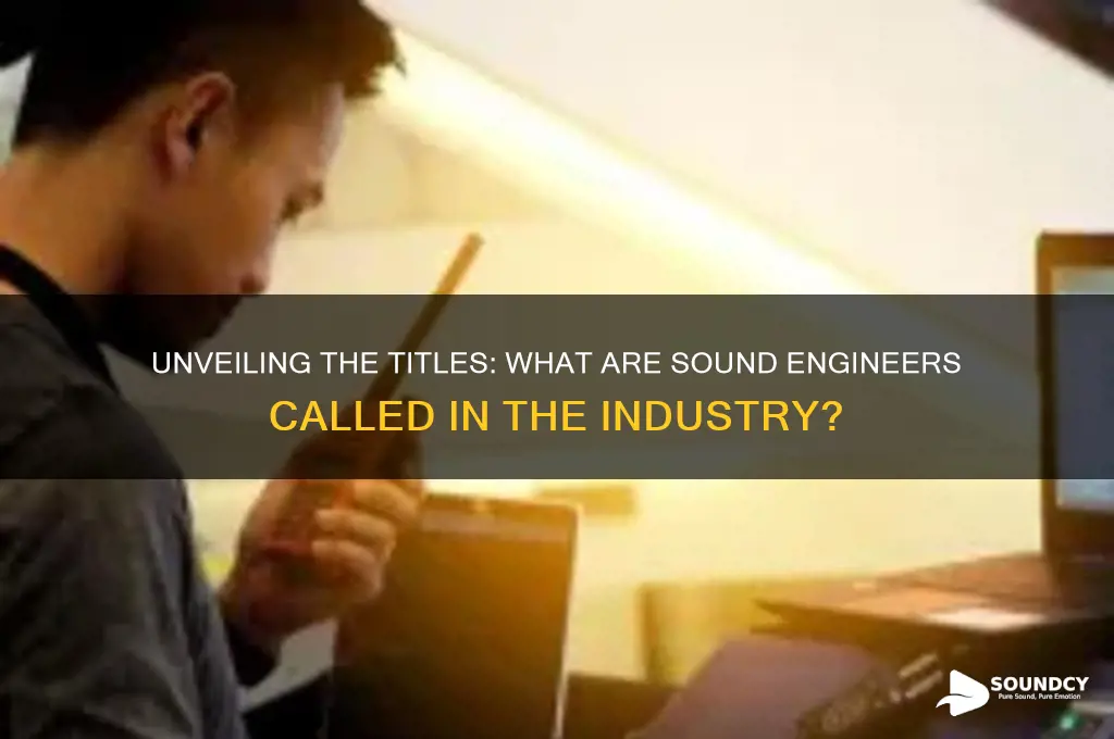 what are sound engineers called