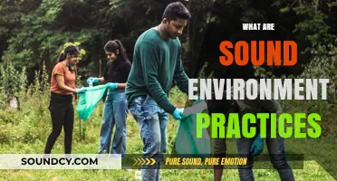 Sustainable Living: Mastering Sound Environmental Practices for a Greener Future