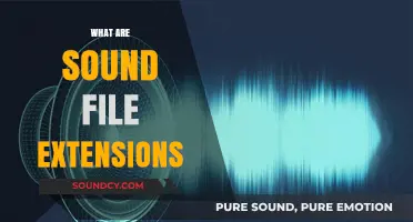 Understanding Sound File Extensions: A Comprehensive Guide to Audio Formats