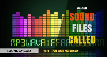 Understanding Audio Formats: What Are Sound Files Called and Why