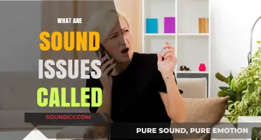 Understanding Audio Problems: What Are Common Sound Issues Called?