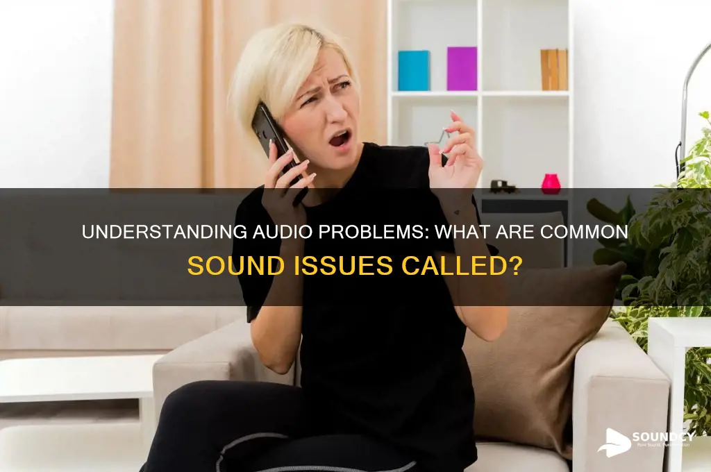 what are sound issues called