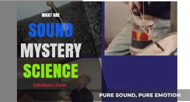 Unraveling the Enigma: Exploring the Science Behind Sound Mysteries