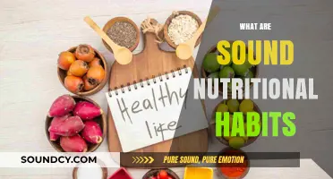 Mastering Sound Nutritional Habits for Optimal Health and Wellness