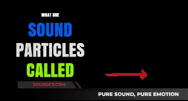 Unveiling the Mystery: What Are Sound Particles Called?